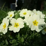 Biancavilla Frühstückspension Brescia