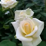 Biancavilla לינה וארוחת בוקר